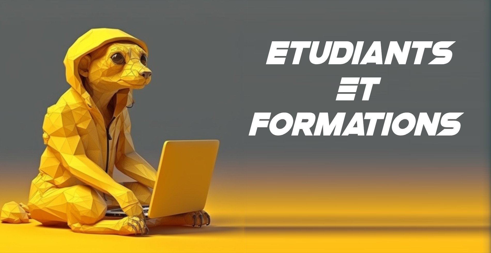 Éducation - Étudiants & Formations